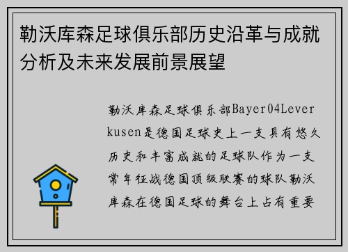 勒沃库森足球俱乐部历史沿革与成就分析及未来发展前景展望
